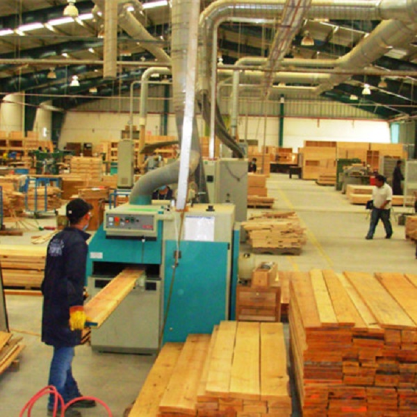 Bụi gỗ vô cùng nguy hiểm cho sức khỏe người lao động